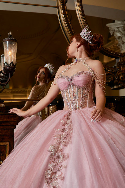 AG363 6 PERFECT DRESS ARBARICOQUE